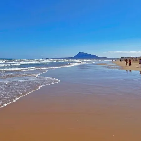 El Palmar Dénia