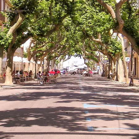 El Palmar